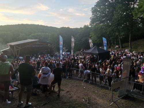Koncert IMT Smile
